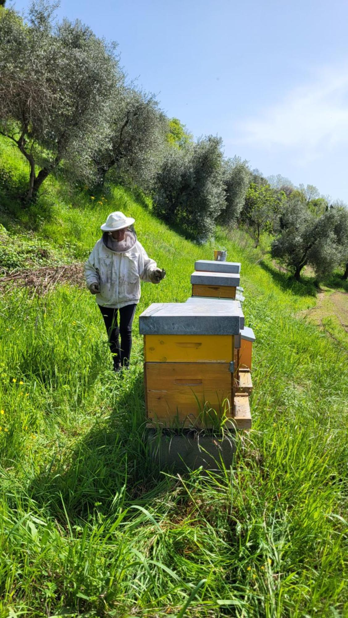 Agriturismo Podere Nigriano Salo Ngoại thất bức ảnh
