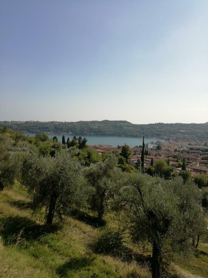 Agriturismo Podere Nigriano Salo Ngoại thất bức ảnh