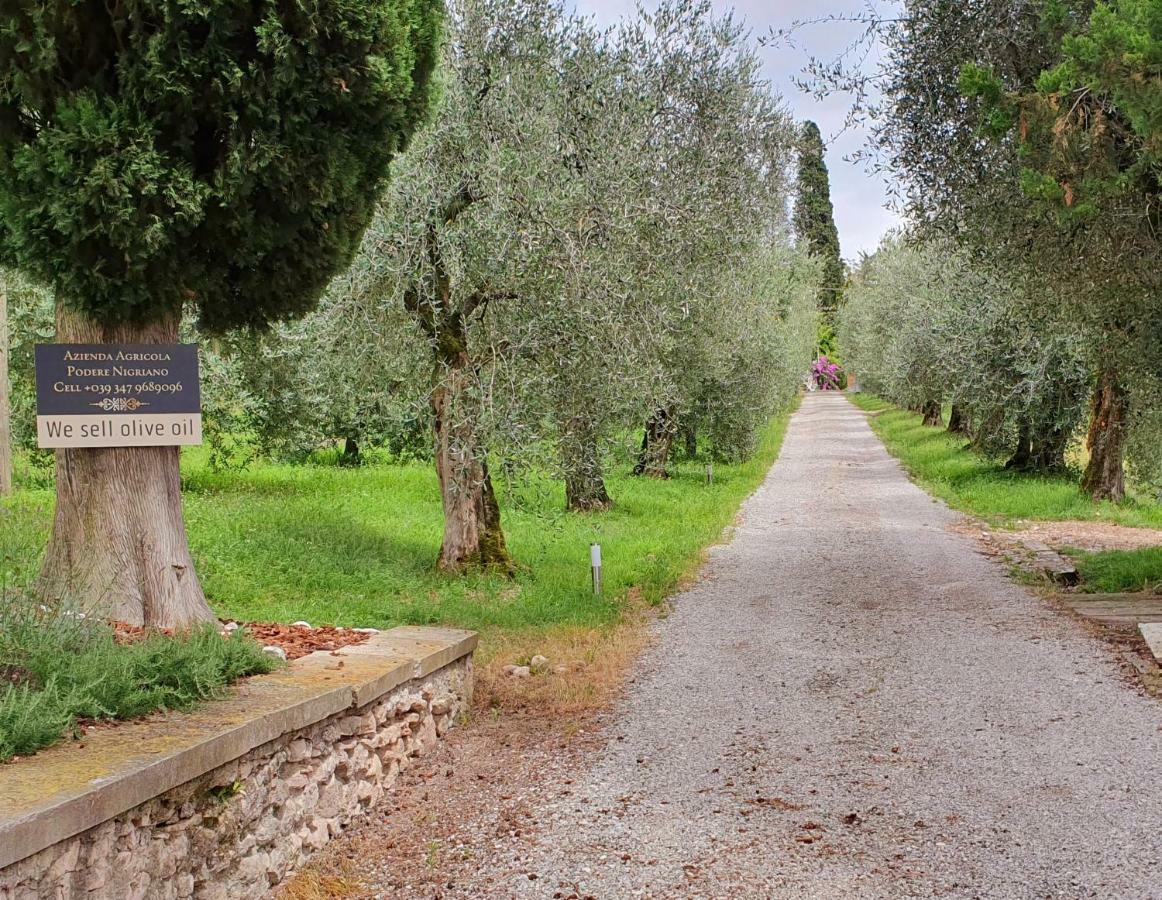 Agriturismo Podere Nigriano Salo Ngoại thất bức ảnh